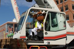 durham-bull